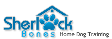 lifetime-dog-coaching